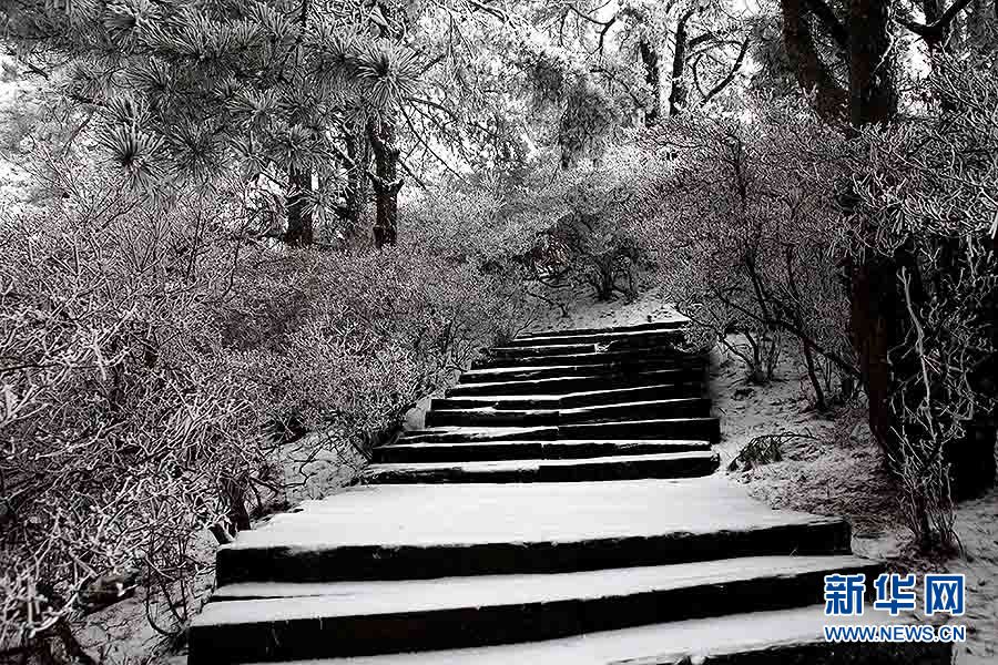 湖北麻城龜峰山春雪霧凇若水墨