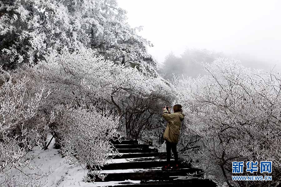 湖北麻城龜峰山春雪霧凇若水墨