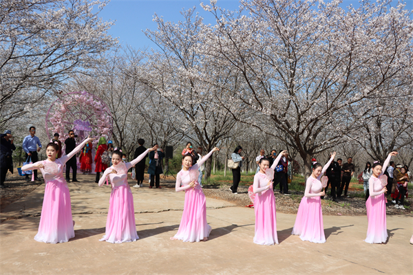 武漢江夏區：安山首屆櫻花節開幕_fororder_b709444358dcab715b70f0dc3352a17