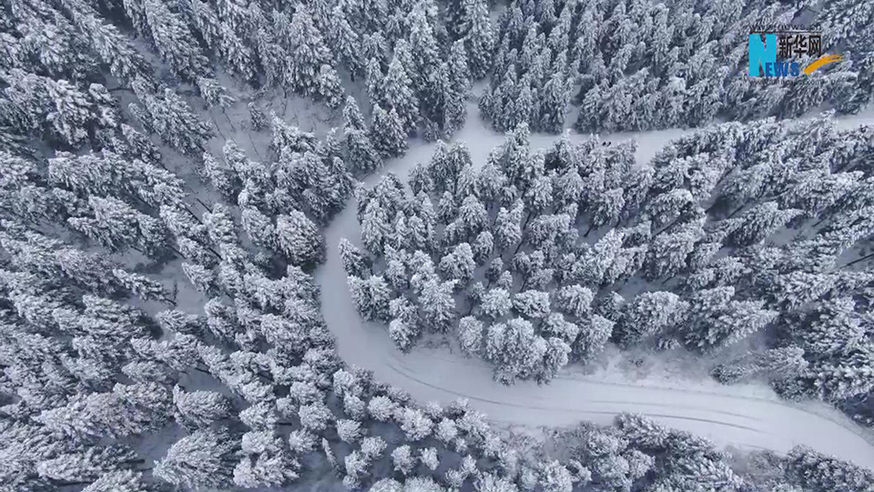 湖北咸豐：飛雪踏春來