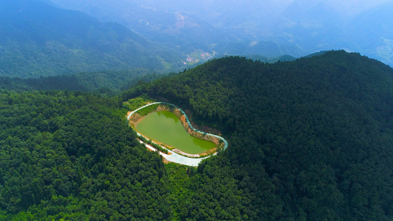 湖北竹山：全域試點建設森林康養