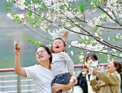 武漢：百花齊放 春色滿城