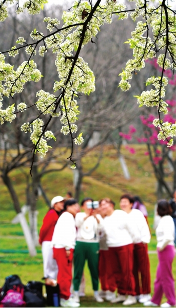 武漢：百花齊放 春色滿城