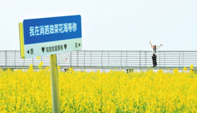 武漢：百花齊放 春色滿城