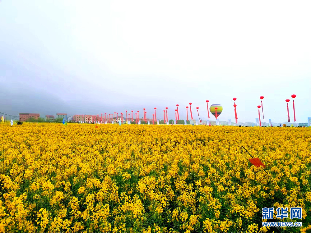 共赴花海之約 黃岡武穴市第十屆（祥雲）油菜花節開幕