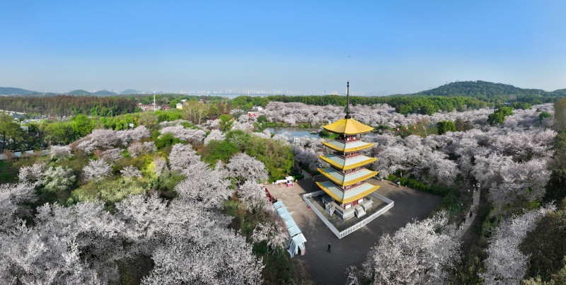 業態新融合 出行多花樣 湖北“美麗經濟”持續升溫