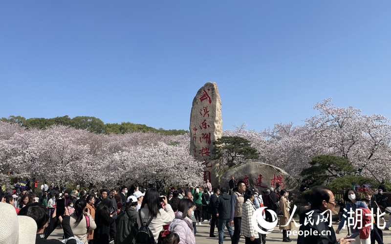 湖北武漢：人潮花海 不負春天