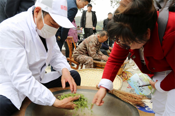 湖北谷城：提振茶産業 共創“致富路”_fororder_圖片2