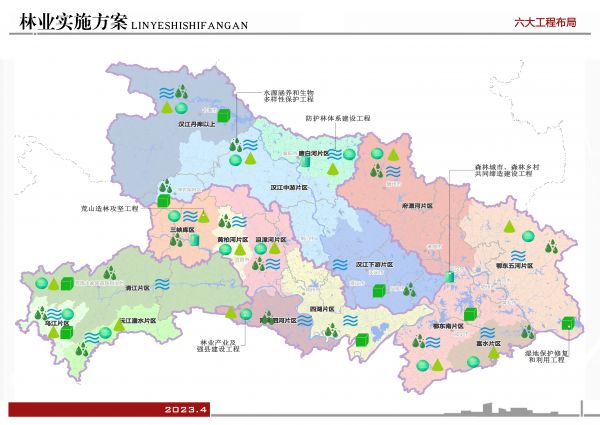 湖北印發《林業實施方案》 武漢青頭潛鴨等棲息地提名保護