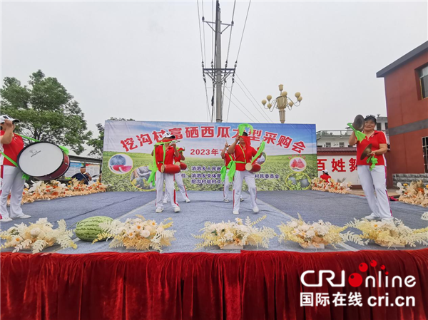 武漢蔡甸挖溝村：“富硒瓜”産銷兩旺 鄉村振興“甜蜜”升級_fororder_圖片2