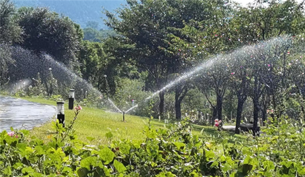 節水又高效 武漢西苑公園為花草樹木“解渴”_fororder_02