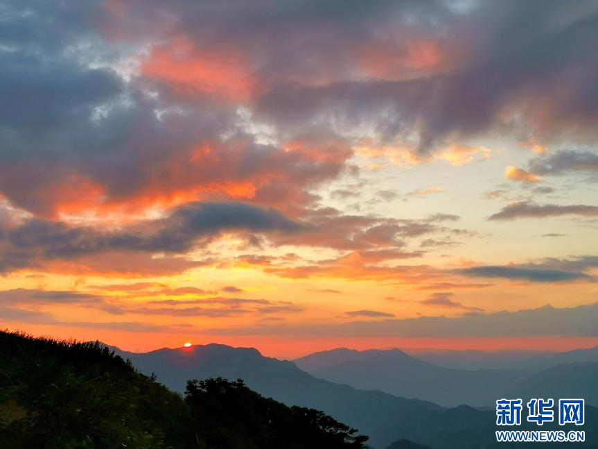 巴東秘境綠蔥坡 夏日風光引遊人