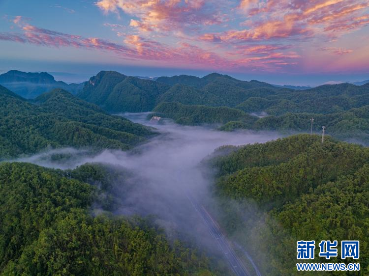 雲霧神農架 仙氣十足