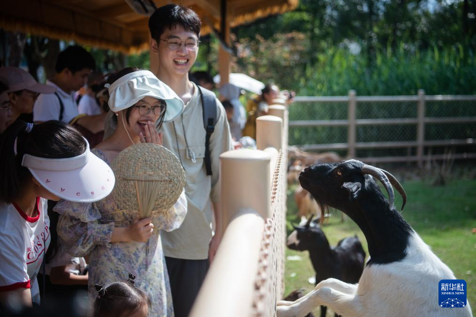 湖北武漢：看看動物們的新家園