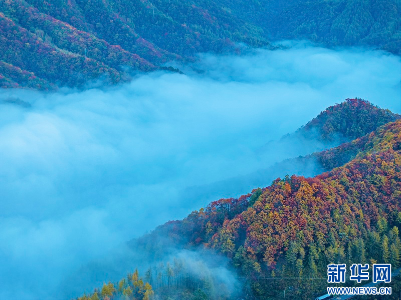 層林盡染神農架