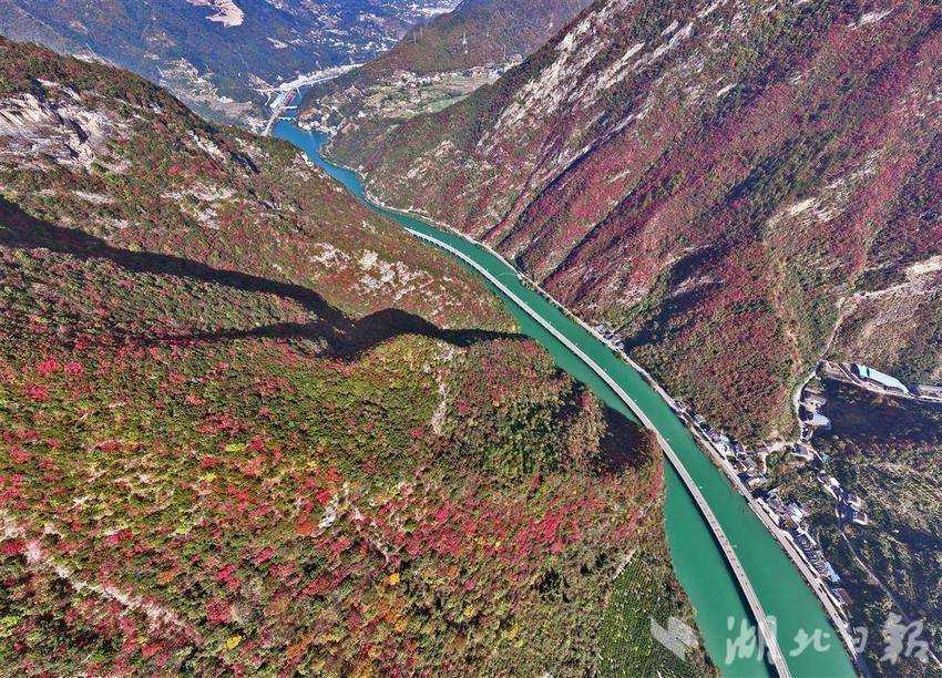 三峽香溪兩岸紅葉似彩霞