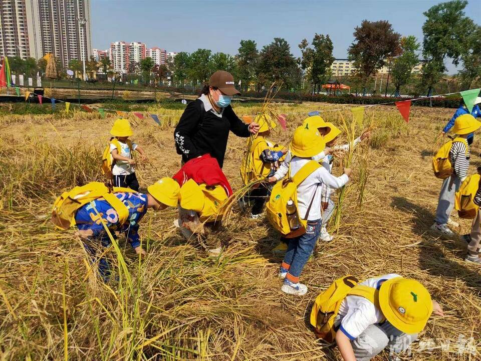 湖北：秋日旅遊正當時 特色景區民宿被“帶火”