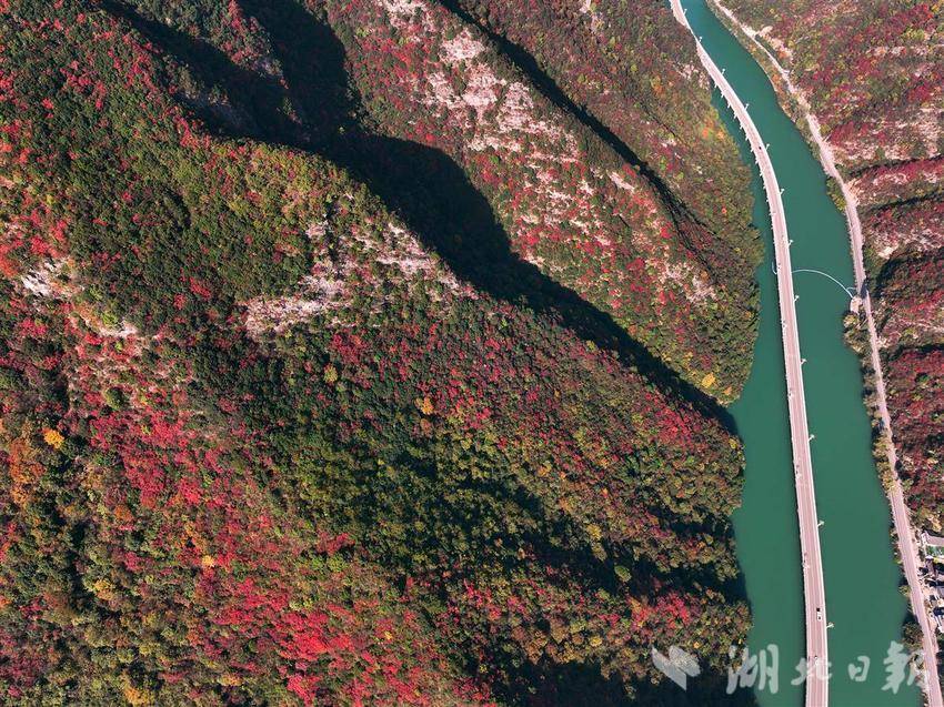 三峽香溪兩岸紅葉似彩霞