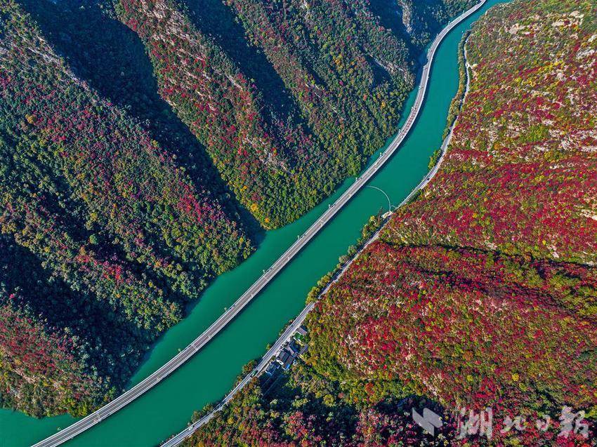 三峽香溪兩岸紅葉似彩霞