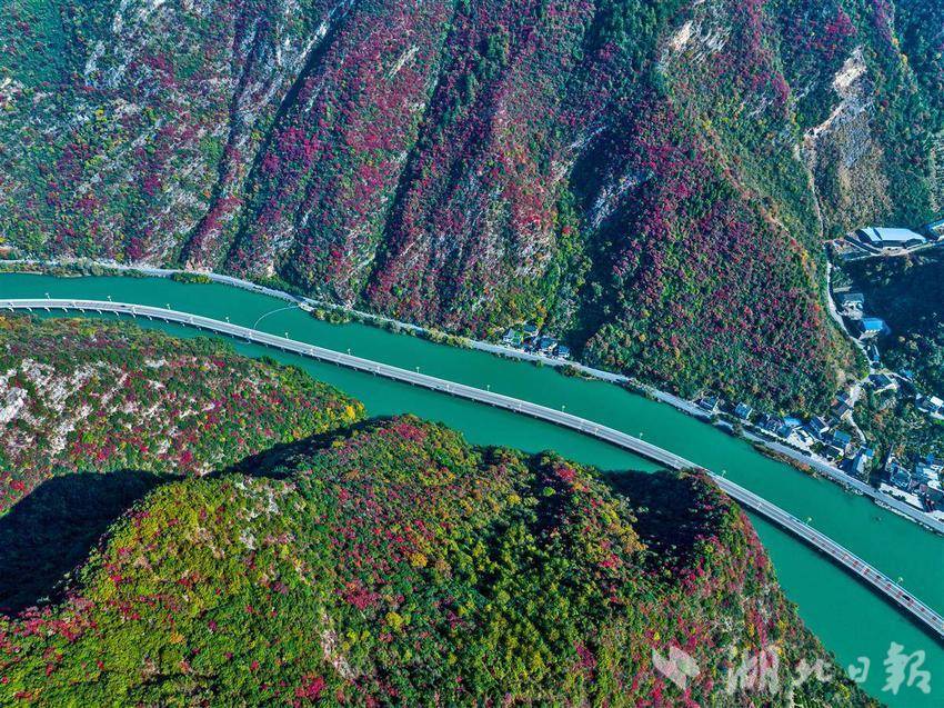 三峽香溪兩岸紅葉似彩霞