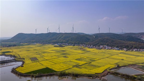 荊門市東寶區仙居鄉：深化河湖治理體系 全域推行河湖長制_fororder_圖片2