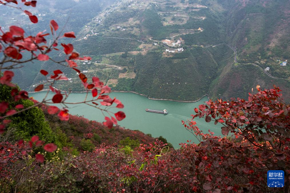 長江中游遊輪旅遊逐步復蘇