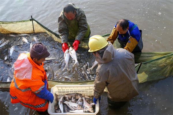 錦鯉“上岸” 武漢商學院冬季捕魚活動為考研學子加油_fororder_圖片17