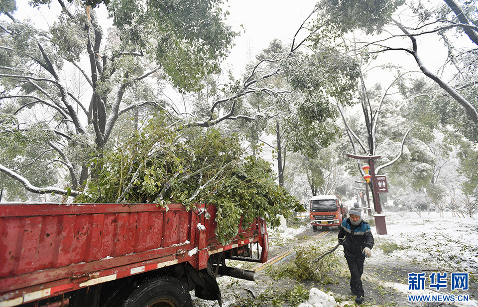 武漢園林開啟24小時作業模式迎戰冰雪