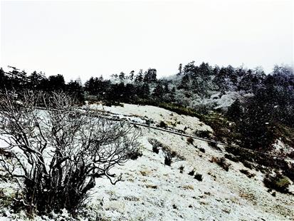 神農架迎來2019年秋季首場降雪