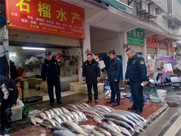 湖北：河湖警長護漁忙 魚兒戲水競相歡_fororder_03