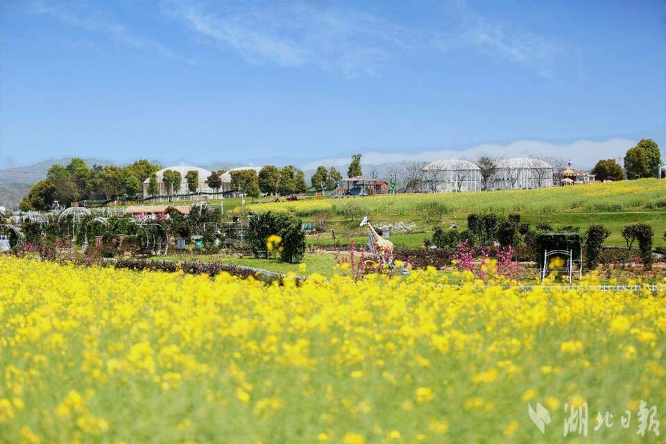 春田花花 湖北文旅集團發佈賞花地圖