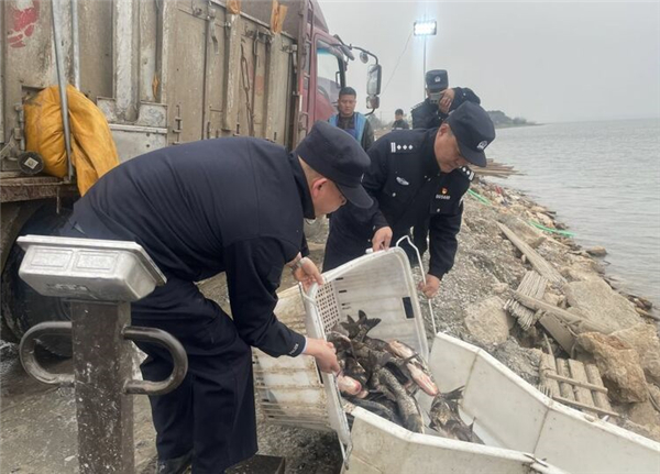 湖北：河湖警長護漁忙 魚兒戲水競相歡_fororder_01