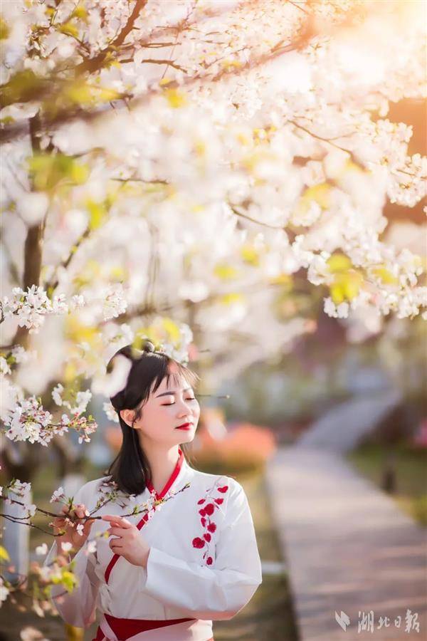 春田花花 湖北文旅集團發佈賞花地圖