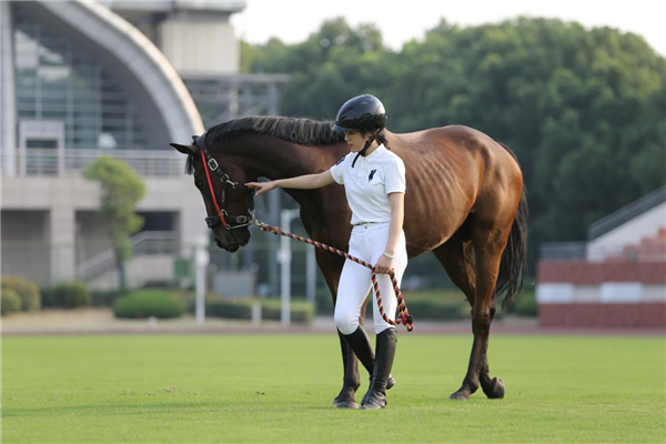 全國首開 武漢商學院馬術運動與管理專業成功獲批_fororder_圖片7