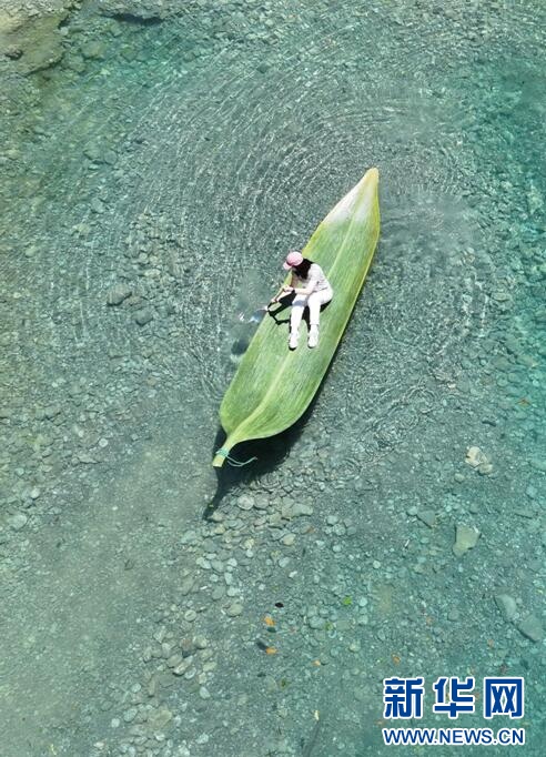 湖北鶴峰：“箬葉”浮碧波