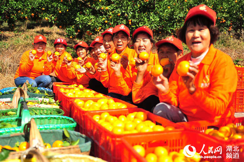 湖北宜昌：橘紅醉金秋 香飄海內外