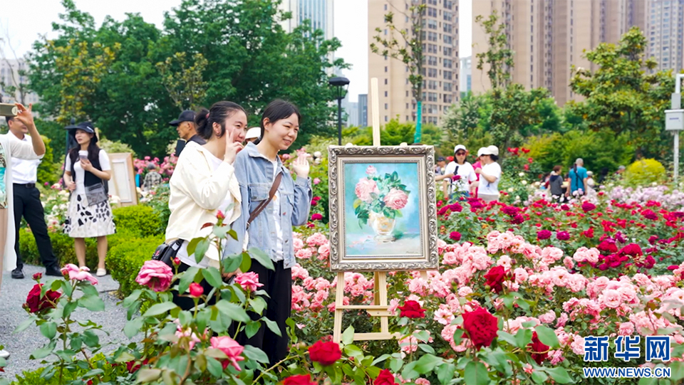 聚焦高品質發展丨花園裏的大武漢，家園裏的大花園