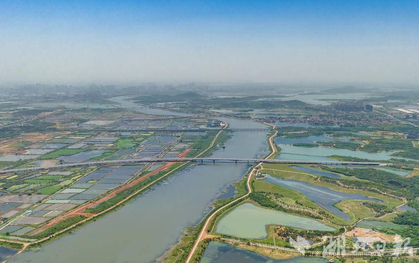 武漢經開區：水清岸綠 河暢景美