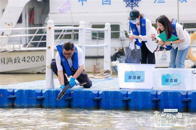 全國放魚日武漢放流666尾中華鱘_fororder_微信圖片_20240607085146 - 副本