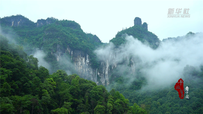 千城百縣看中國｜湖北鶴峰：青山雨後黛如詩_fororder_微信圖片_20240717093951