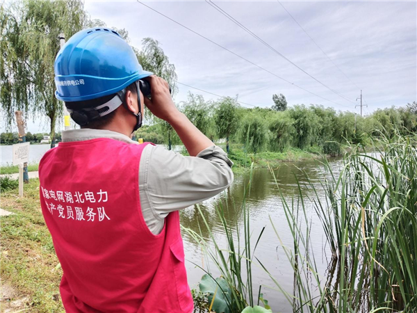 國網仙桃市供電公司：特巡測溫強運維 入伏保電不鬆懈_fororder_圖片14