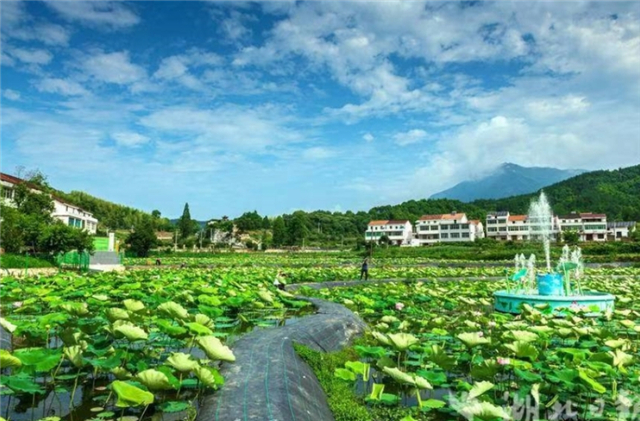 湖北武穴：多彩旅遊路串起一路好風景_fororder_LOCAL17212897801317H5B4PAU3V