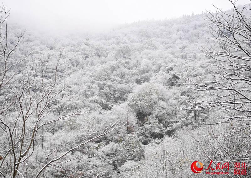 湖北保康迎大面積降雪：銀裝素裹 美景如畫