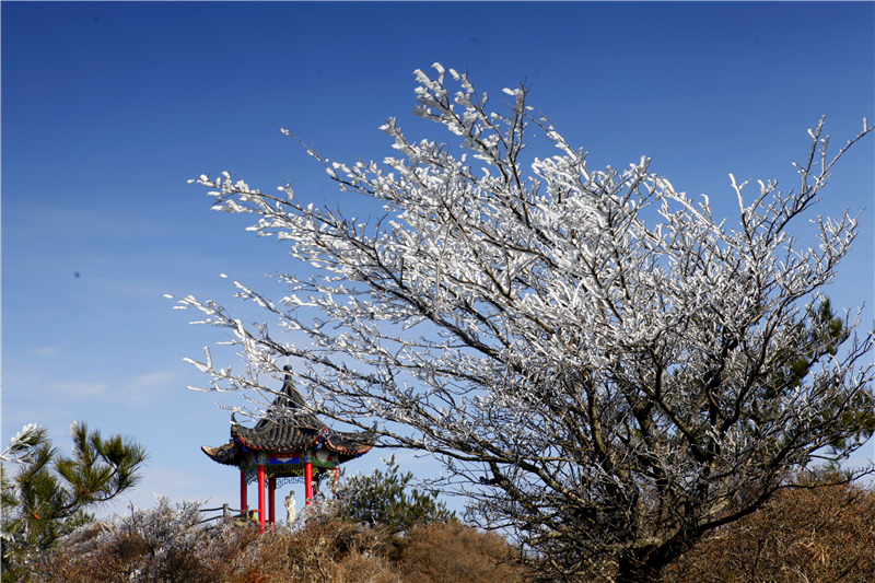 【湖北】【CRI原創】麻城龜峰山景區迎來2020年首場“冰花”奇特景觀（組圖）