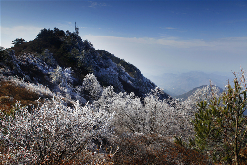 【湖北】【CRI原創】麻城龜峰山景區迎來2020年首場“冰花”奇特景觀（組圖）