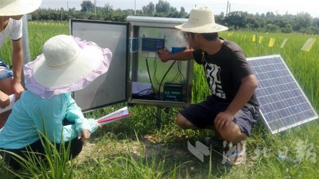 【暫不簽】全國示範工程“智慧稻田”全方位監測氮磷遷移