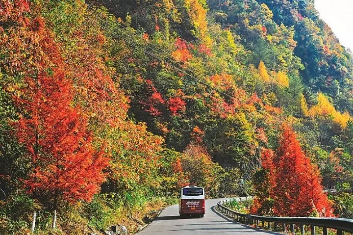 湖北自駕最美的5條公路