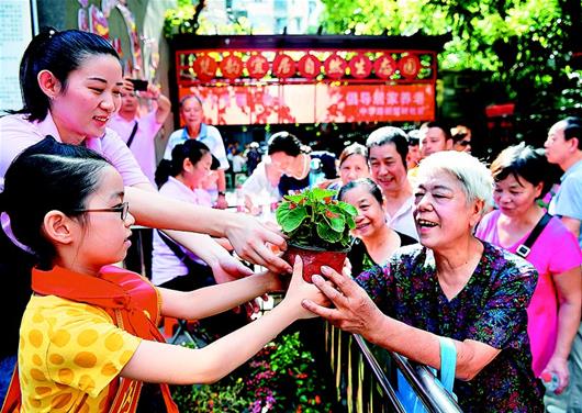 “口袋花園”裝點綠意生活