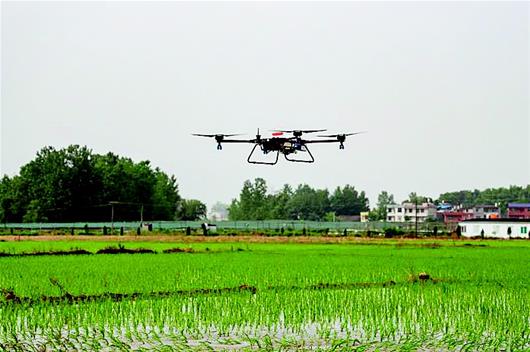 （文末有封面圖）（文末有摘要）【湖北巨變圖文列表】40年農業生産方式大變革