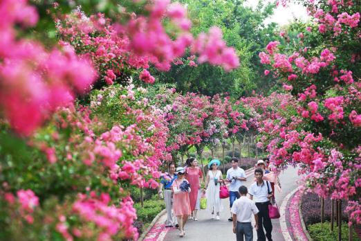 首張工會會員專享旅遊年卡,發行突破10萬張